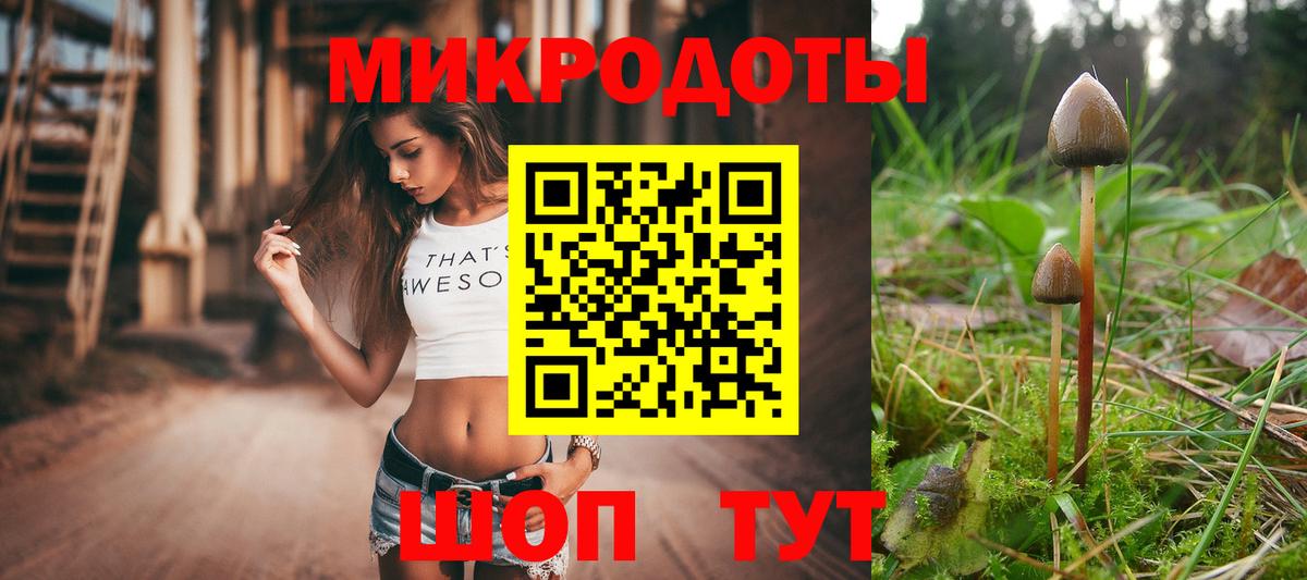 Великий Устюг  Галлюциногенные грибы Cubensis  Вход с VPN  Галлюциногенные грибы GOLDEN TEACHER 