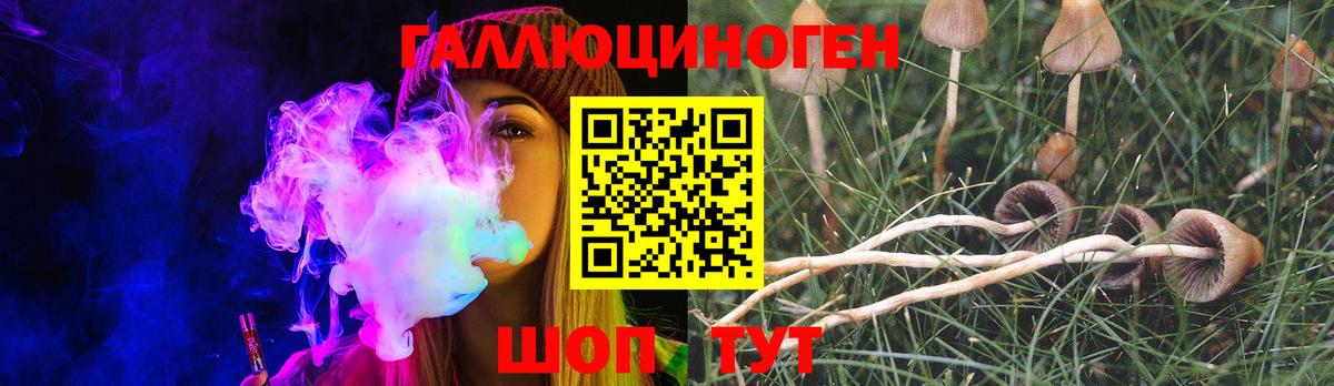 Псилоцибиновые грибы Cubensis Великий Устюг